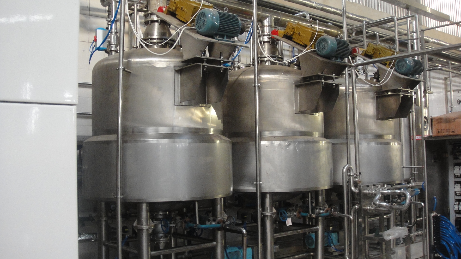 Mango Pulp Processing Line