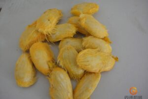 g019